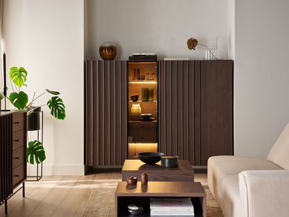 PIEMONTE PE-06 - szafka 1d1w2s z oświetleniem - jesion portland/czarny